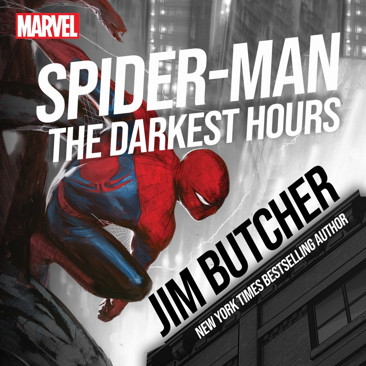 Spider-Man Spider-Man - Image 1