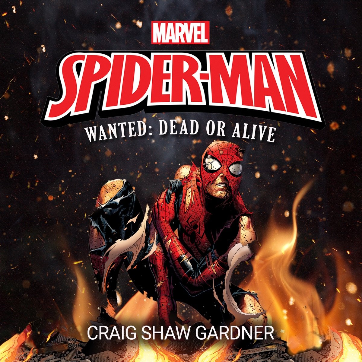 Spider-Man Spider-Man - Image 1