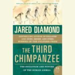 The Third Chimpanzee: The Evolution and Future of the Human Animal (Unabridged)